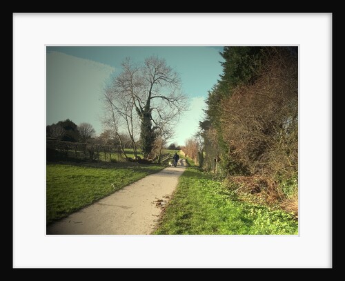 Dog-walker on Former Canal Route by Sarah Smith