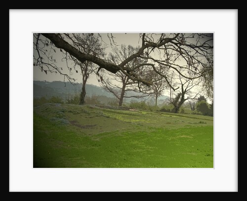 Remains of Duffield Castle by Sarah Smith