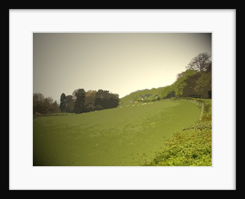 Grazing Land at Duffieldbank by Sarah Smith