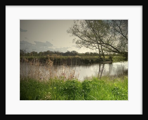 Longford Brook by Sarah Smith