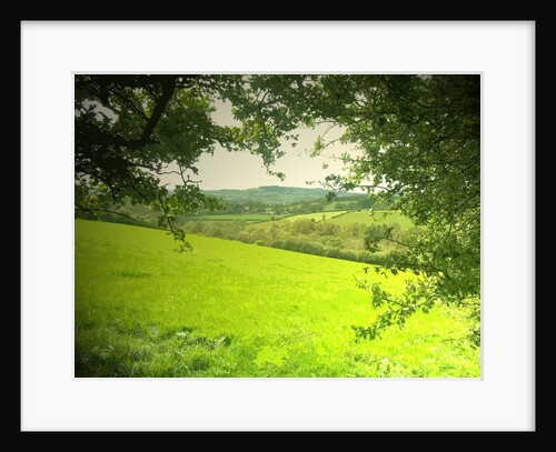 Stretton Hillside by Sarah Smith