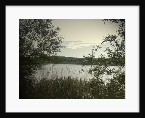 Main Pond at Carr Vale Flash Nature by Sarah Smith