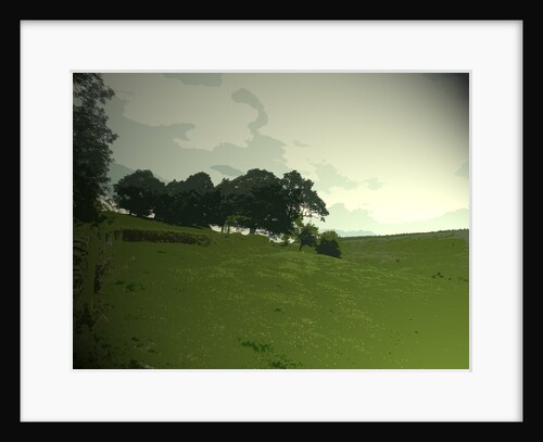 Pasture at Edale End by Sarah Smith