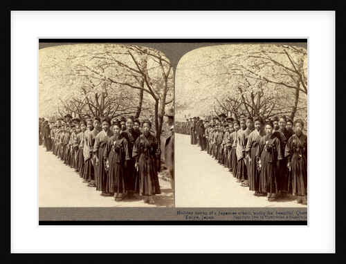 Holiday outing of a Japanese school, under the beautiful cherry blossoms, Tokyo by Anonymous