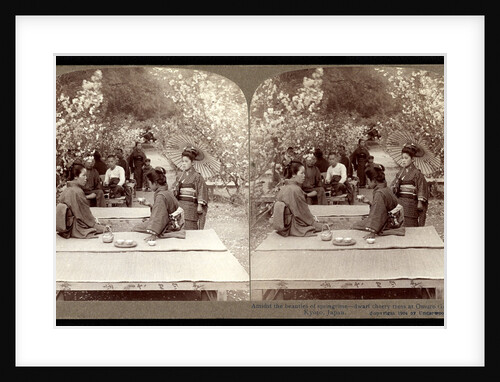 Amidst the beauties of springtime: dwarf cherry trees at Omuro Gosho temple, Japan by Anonymous