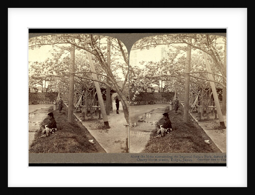 Along the moat surrounding the Imperial Palace Park, during the gorgeous cherry-bloom season, Tokyo by Anonymous