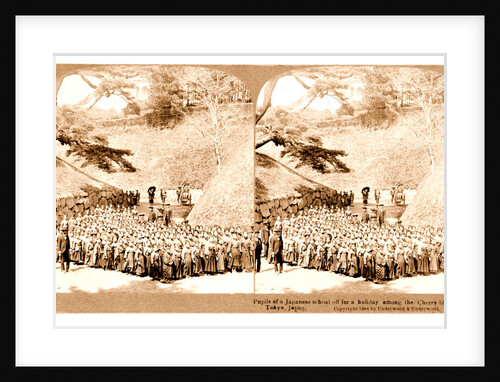 Pupils of a Japanese school off for a holiday among the cherry blossoms, Tokyo by Anonymous