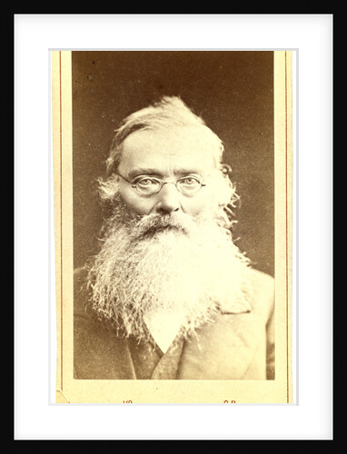 Nikola i Ivanovich Kostomarov by Anonymous