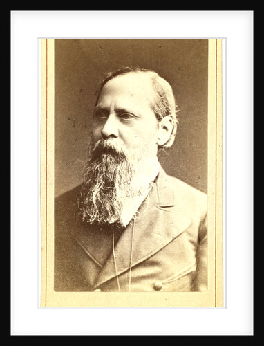 Mikhail Evgrafovich Saltykov-Shchedrin by Anonymous