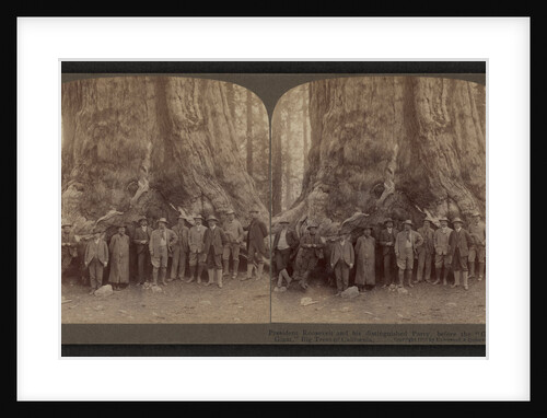 Theodore Roosevelt and his distinguished party, before the Grizley Giant, big trees of California by Anonymous