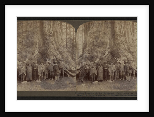 Theodore Roosevelt and his distinguished party, before the Grizley Giant, big trees of California by Anonymous