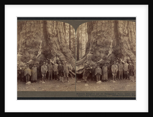 Theodore Roosevelt and his distinguished party, before the Grizley Giant, big trees of California by Anonymous