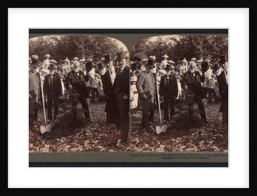 Long may it thrive! - President Roosevelt plants a tree near San Jose, Cal by Anonymous