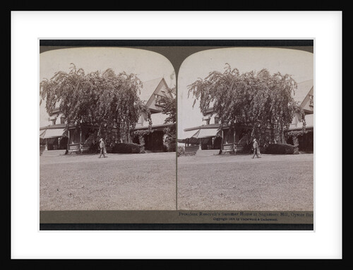 President Roosevelt's summer home at Sagamore Hill, Oyster Bay, N.Y by Anonymous
