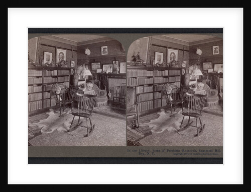 In the library, home of President Roosevelt, Sagamore Hill, Oyster Bay, N.Y by Anonymous