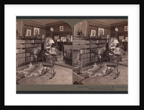 President Roosevelt's library at Sagamore Hill, Oyster Bay, N.Y by Anonymous