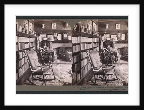In the library, home of President Roosevelt, Sagamore Hill, Oyster Bay, N.Y by Anonymous