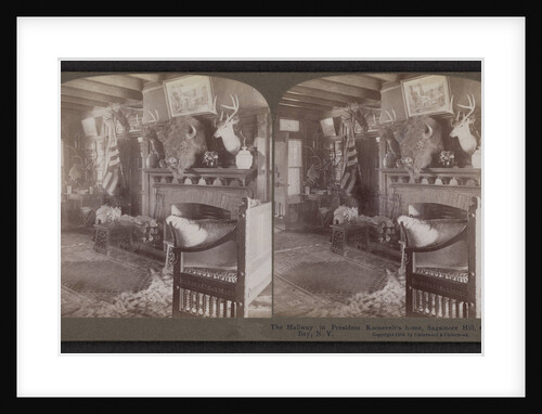 The hallway in President Roosevelt home, Sagamore Hill, Oyster Bay, N.Y by Anonymous