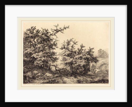 Thornbushes, 1840 by Eugène Bléry