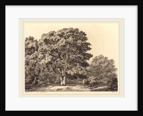 Entrance to a Forest, 1840 by Eugène Bléry