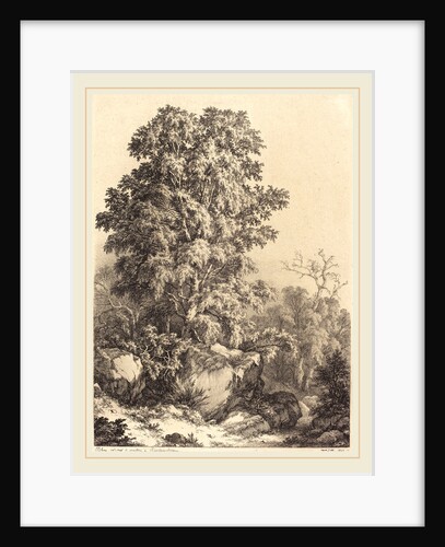 Beech Grove, 1840 by Eugène Bléry