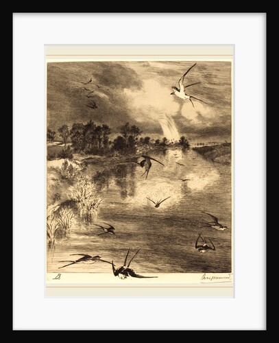The Swallows, c. 1884 by Félix Bracquemond