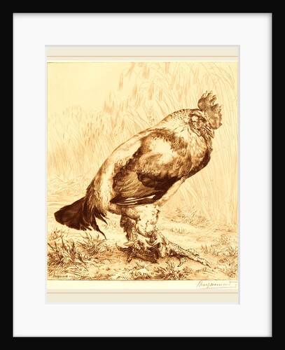The Old Cock, 1882 by Félix Bracquemond