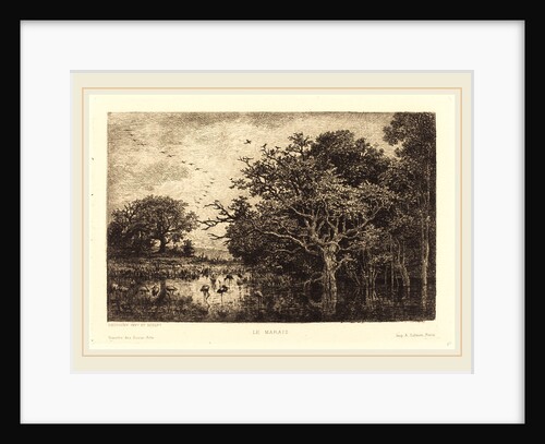 Marsh (Le Marais), probably 1851 by Charles-François Daubigny