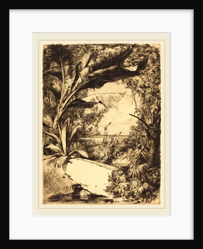 Plantes de Serre, 1863 by Jules-Ferdinand Jacquemart