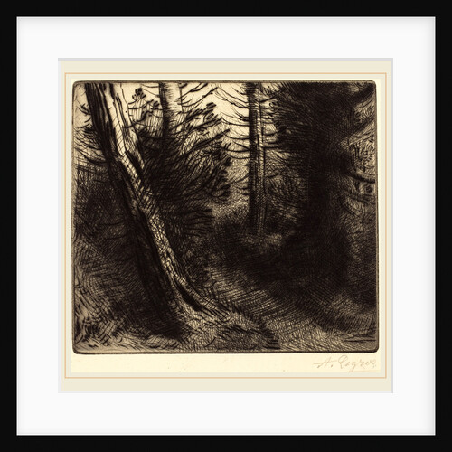 Path through the Woods by Alphonse Legros