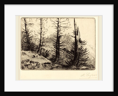 In the Pyrenees by Alphonse Legros