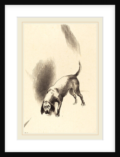 The Dog, 1896 by Odilon Redon