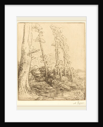 Little Pond by Alphonse Legros