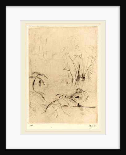 Ducks at Rest on the Bank by Berthe Morisot