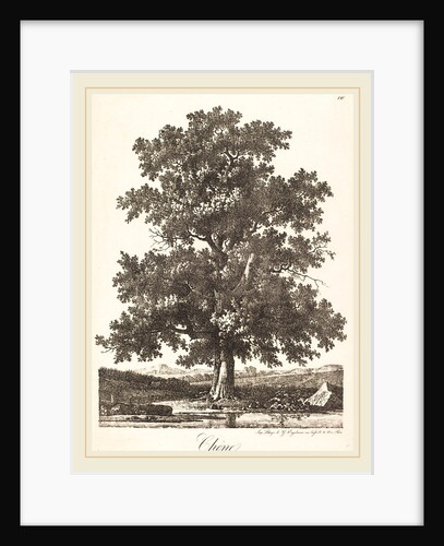 Chene, 1816 by Antoine-Pierre Mongin