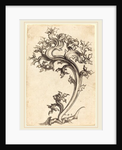 Thistle Ornament by Martin Schongauer