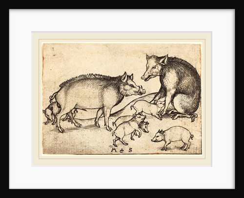 Family of Pigs by Martin Schongauer