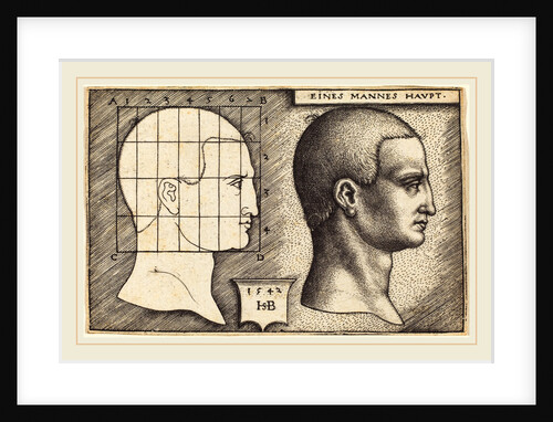 Head of a Man, 1542 by Sebald Beham