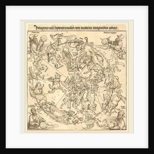 The Northern Celestial Hemisphere, 1515 by Albrecht Dürer
