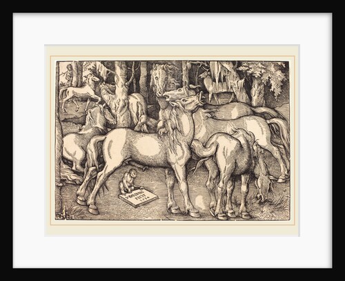 Group of Seven Horses, 1534 by Hans Baldung Grien
