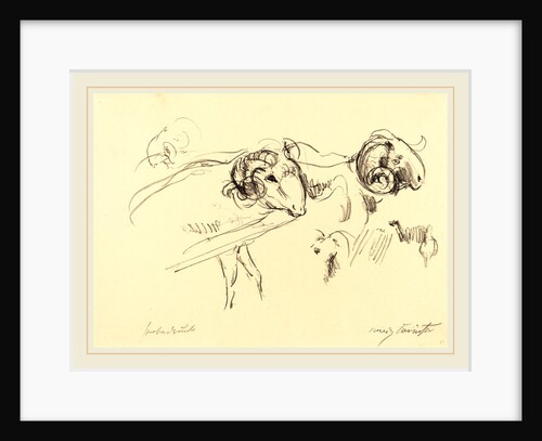 Rams by Lovis Corinth