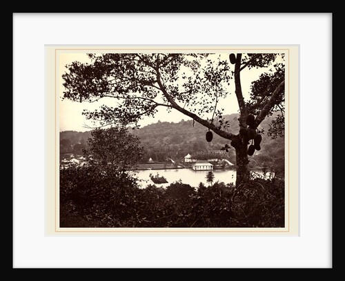 A Peep from Upper Lake Road showing Temple and Island with Park, fruit tree in foreground, c.1865 by Samuel Bourne