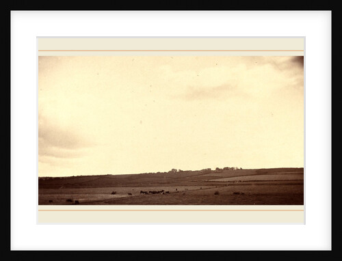 View of Fields with Cows, 1850s-1860s by Anonymous
