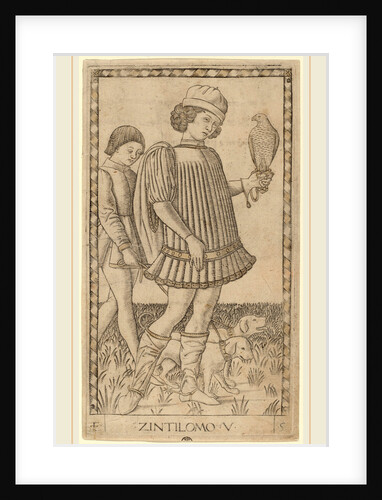 Zintilomo, c. 1465 by Master of the E-Series Tarocchi