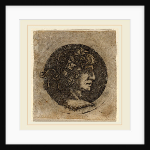 Head of a Roman Emperor by Circle of Francesco Francia