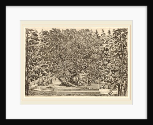 The Inhabited Tree, probably 1653 by Stefano Della Bella