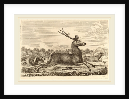 Deer Chased by Two Dogs to the Left by Stefano Della Bella