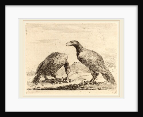 Two Eagles, One Eating a Small Lamb by Stefano Della Bella