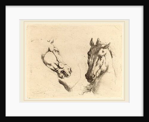 Head of a Horse Seen in Profile and in Three-Quarters by Stefano Della Bella