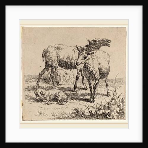 Set of Sheep plate 6, Dutch, by Nicolaes Pietersz Berchem